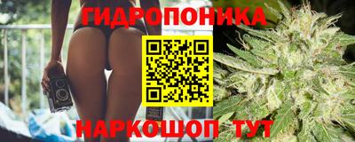МДПВ Славгород