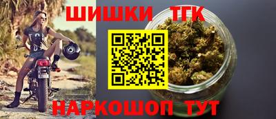 МДПВ Славгород