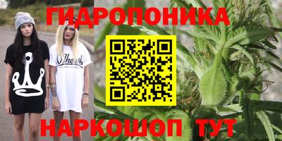 МДПВ Славгород