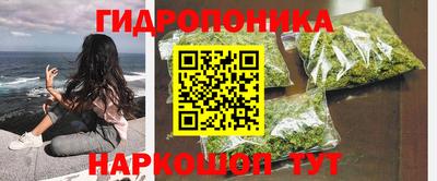 мяу мяу мука Славянск-на-Кубани